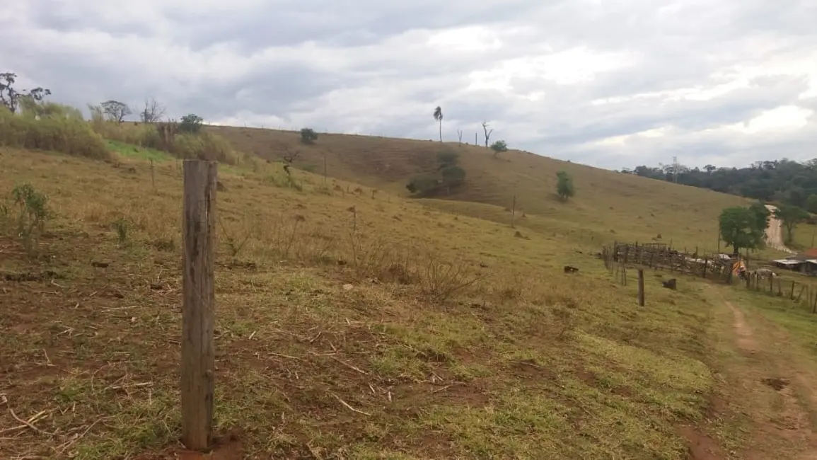 Foto 7 de Sítio / Rancho com 3 quartos à venda, 250000m2 em Granjas Rurais Reunidas São Judas Tadeu, Taubate - SP