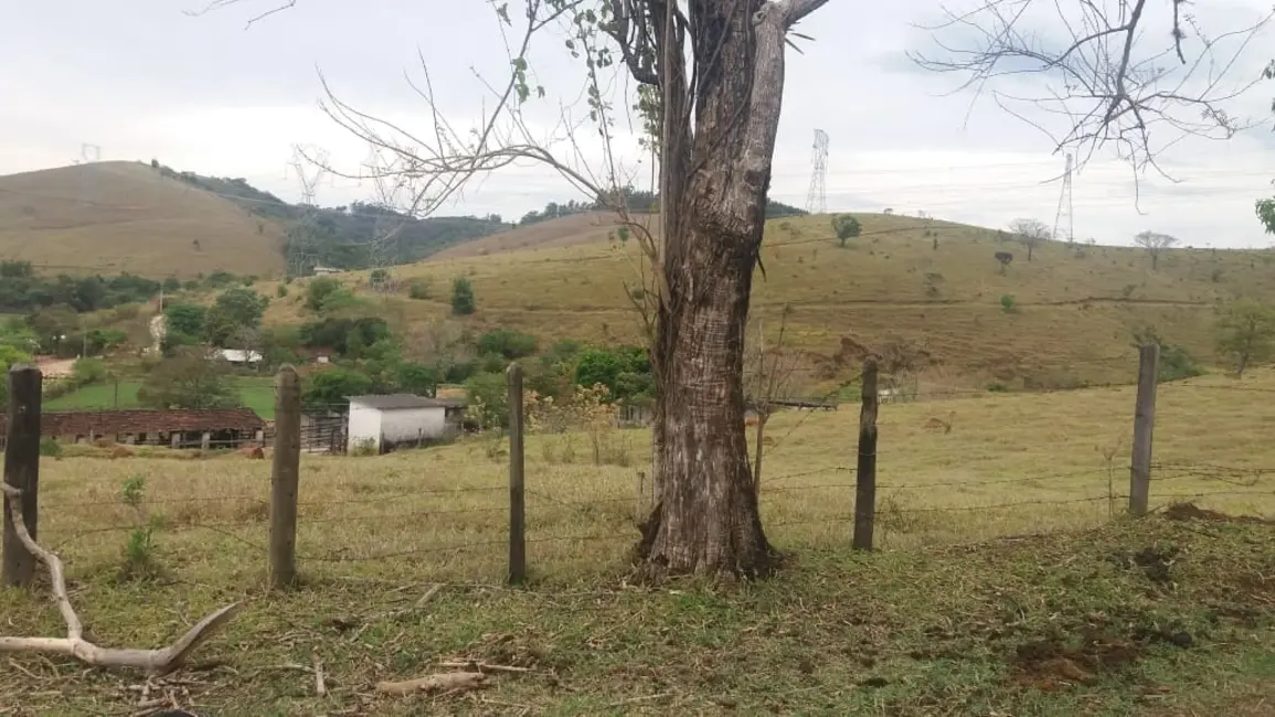 Foto 6 de Sítio / Rancho com 3 quartos à venda, 250000m2 em Granjas Rurais Reunidas São Judas Tadeu, Taubate - SP