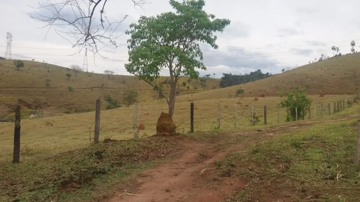 Sítio / Rancho com 3 quartos à venda, 250000m2 em Granjas Rurais Reunidas São Judas Tadeu, Taubate - SP - imagem 4 Foto 4 de Sítio / Rancho com 3 quartos à venda, 250000m2 em Granjas Rurais Reunidas São Judas Tadeu, Taubate - SP