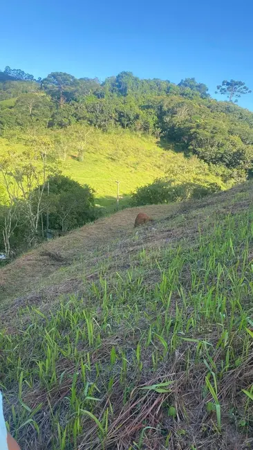Foto 6 de Chácara à venda, 1002m2 em Santo Antonio Do Pinhal - SP