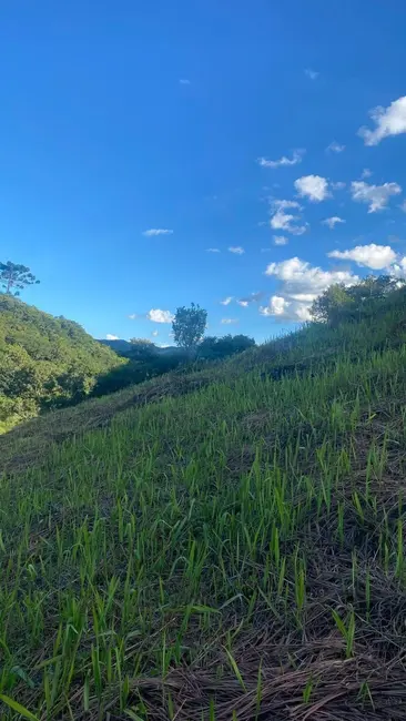 Foto 4 de Chácara à venda, 1002m2 em Santo Antonio Do Pinhal - SP