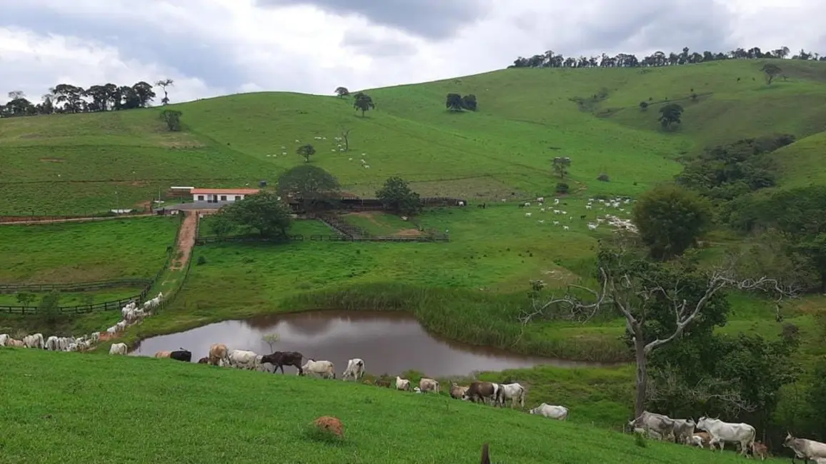 Foto 7 de Chácara à venda, 1300000m2 em Centro, Sao Lourenco - MG