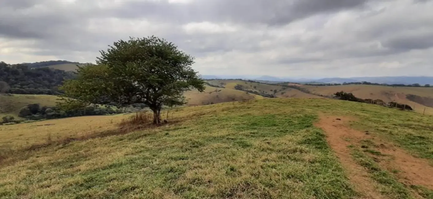 Foto 5 de Chácara à venda, 1300000m2 em Centro, Sao Lourenco - MG