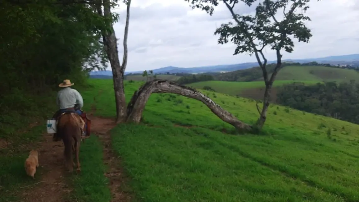 Chácara à venda, 1300000m2 em Centro, Sao Lourenco - MG - imagem 6 Foto 6 de Chácara à venda, 1300000m2 em Centro, Sao Lourenco - MG