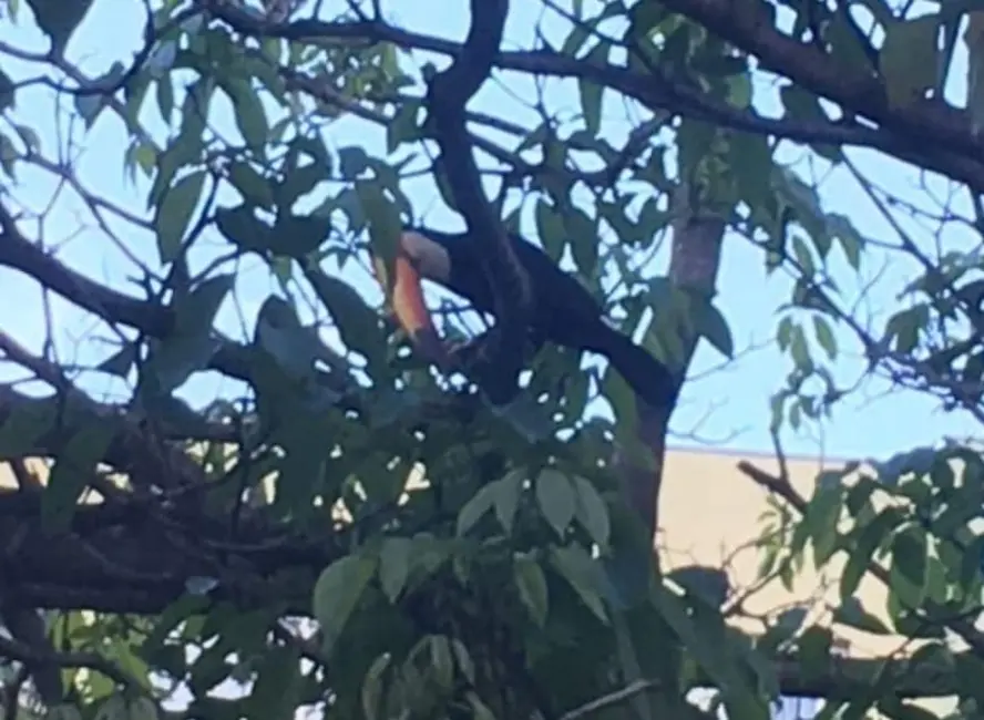 Foto 2 de Sítio / Rancho com 3 quartos à venda, 139000m2 em Centro, Monteiro Lobato - SP