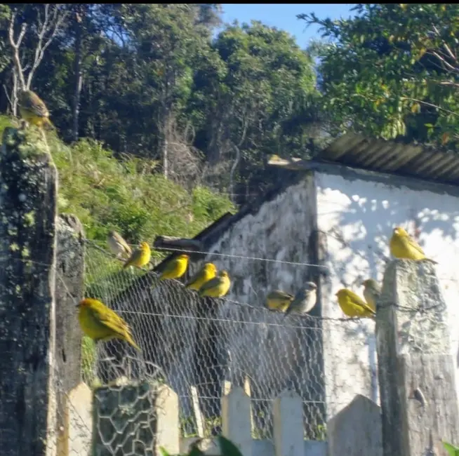 Foto 3 de Sítio / Rancho com 3 quartos à venda, 139000m2 em Centro, Monteiro Lobato - SP