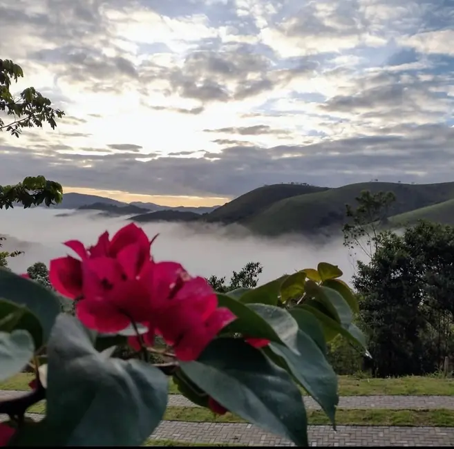 Foto 1 de Sítio / Rancho com 3 quartos à venda, 139000m2 em Centro, Monteiro Lobato - SP