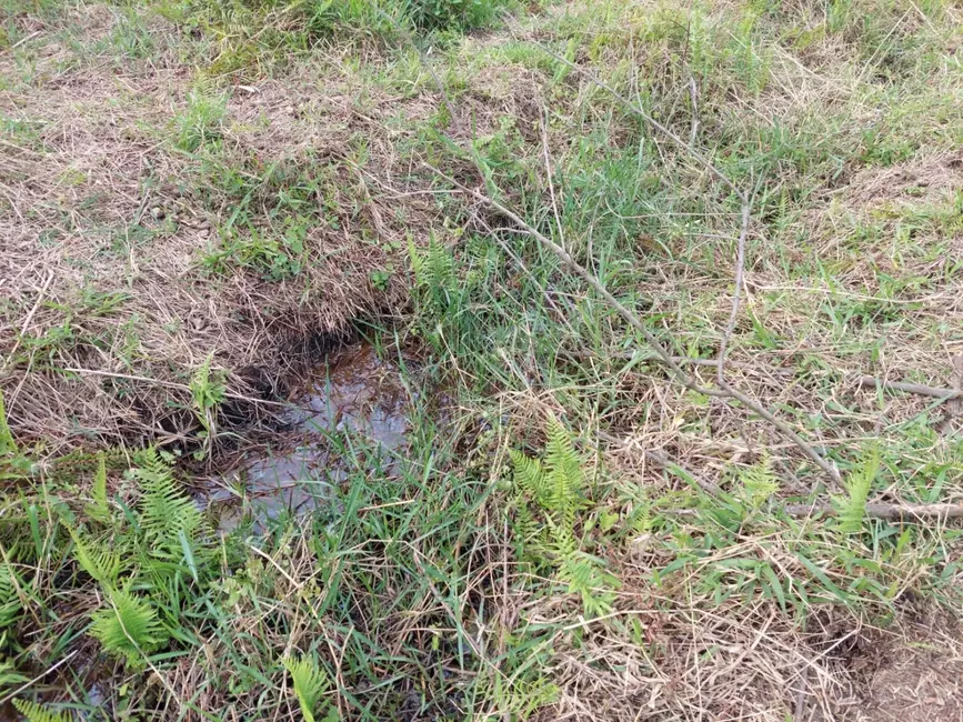 Foto 2 de Chácara à venda, 2596m2 em Cidade Nova, Pindamonhangaba - SP