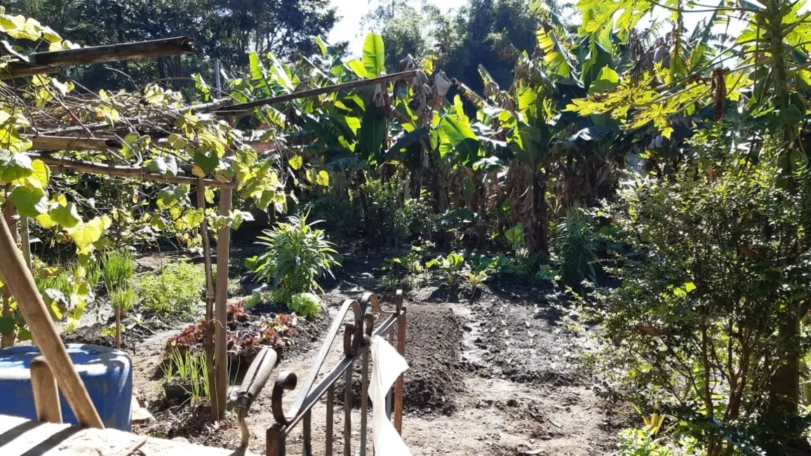 Foto 7 de Chácara com 3 quartos à venda, 120m2 em Pindamonhangaba - SP