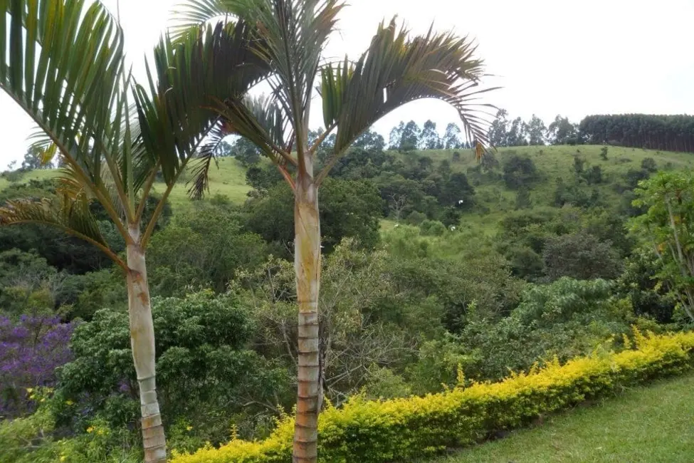 Foto 6 de Sítio / Rancho com 4 quartos à venda em Cunha - SP