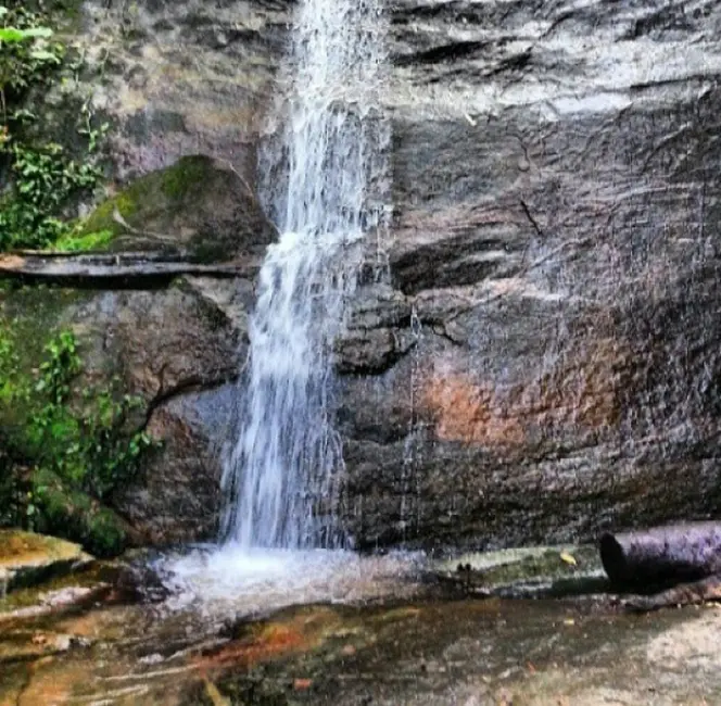 Foto 1 de Chácara com 3 quartos à venda, 2008600m2 em Cacapava - SP