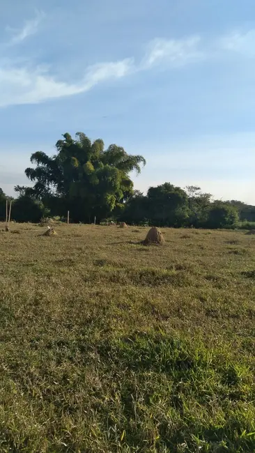 Foto 2 de Chácara à venda, 4774m2 em Roseira - SP