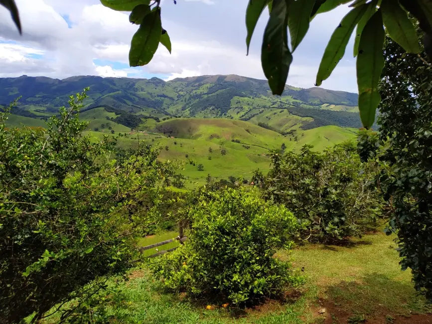Foto 6 de Sítio / Rancho com 3 quartos à venda, 250m2 em Silveiras - SP