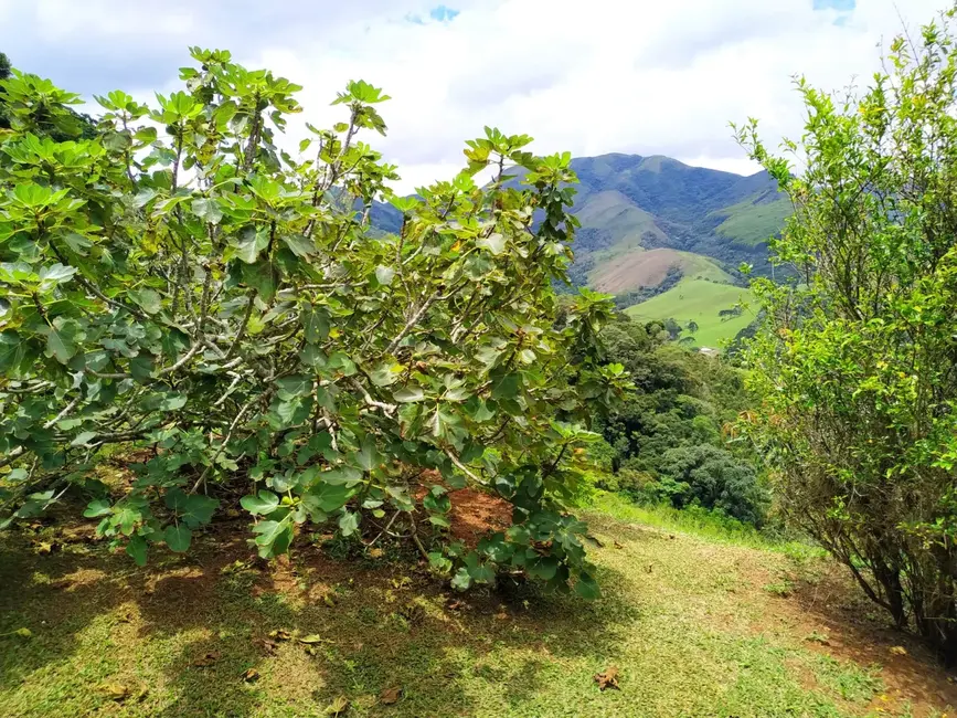Foto 5 de Sítio / Rancho com 3 quartos à venda, 250m2 em Silveiras - SP