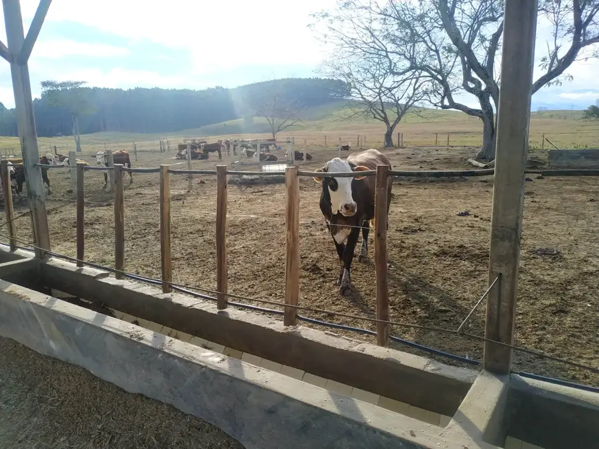 Foto 7 de Chácara com 3 quartos à venda, 4840000m2 em Cachoeira Paulista - SP