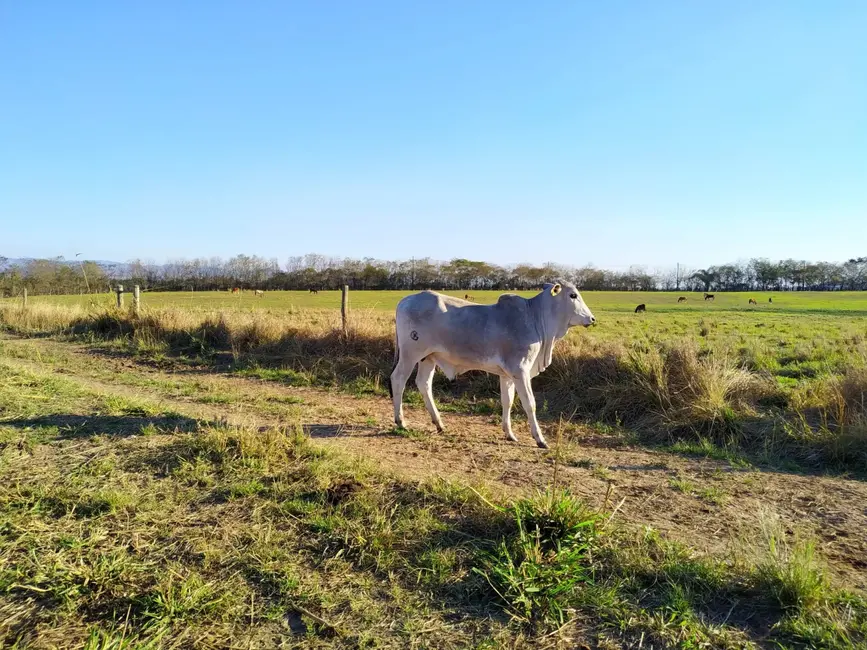 Foto 9 de Chácara com 3 quartos à venda, 4840000m2 em Cachoeira Paulista - SP