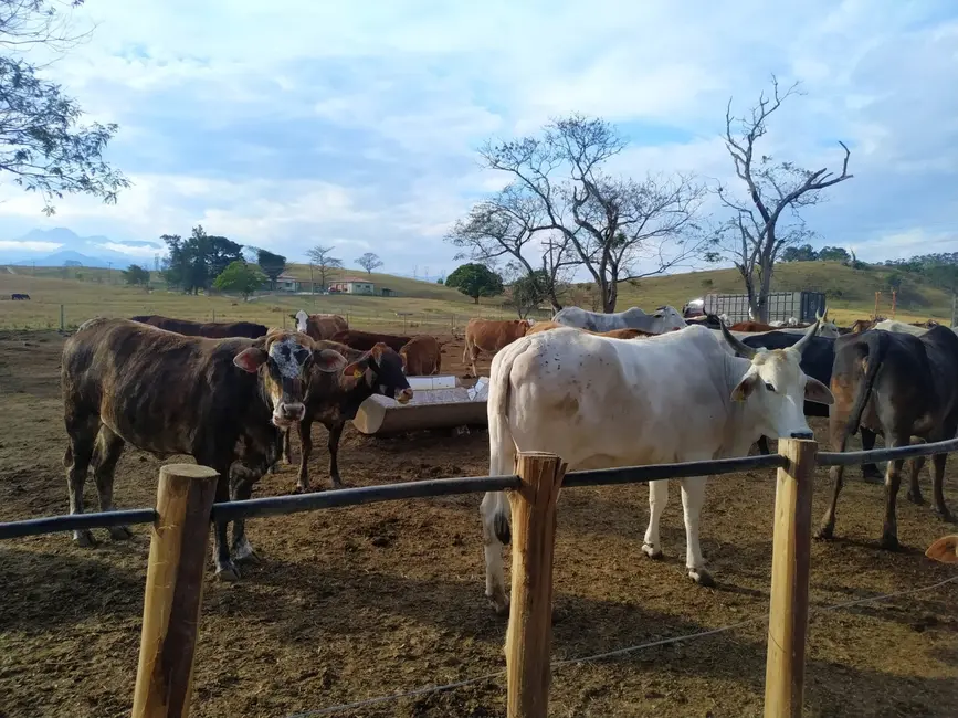 Foto 8 de Chácara com 3 quartos à venda, 4840000m2 em Cachoeira Paulista - SP