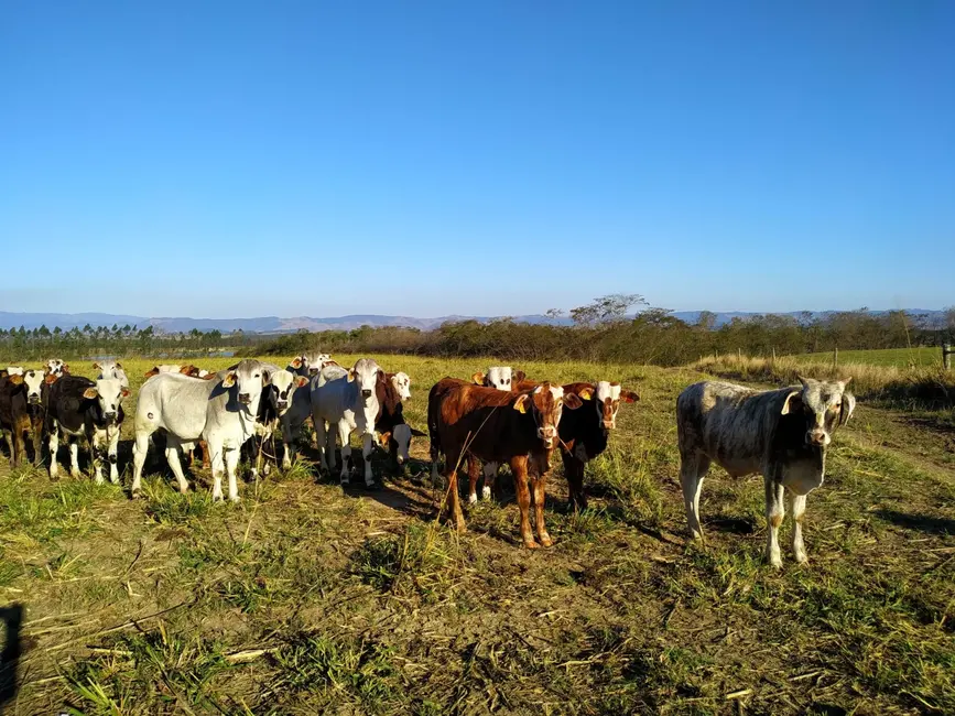 Foto 1 de Chácara com 3 quartos à venda, 4840000m2 em Cachoeira Paulista - SP