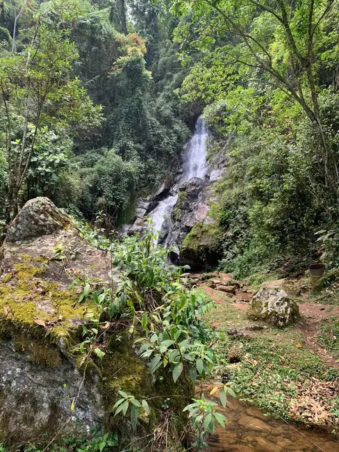 Foto 4 de Chácara à venda, 40000m2 em Lagoinha - SP