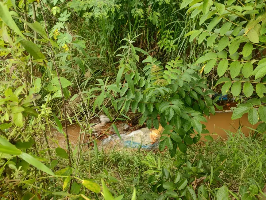 Foto 4 de Chácara com 3 quartos à venda, 400m2 em Registro, Taubate - SP