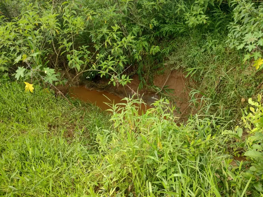 Foto 7 de Chácara com 3 quartos à venda, 400m2 em Registro, Taubate - SP