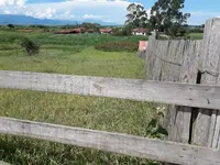 Imagem 4