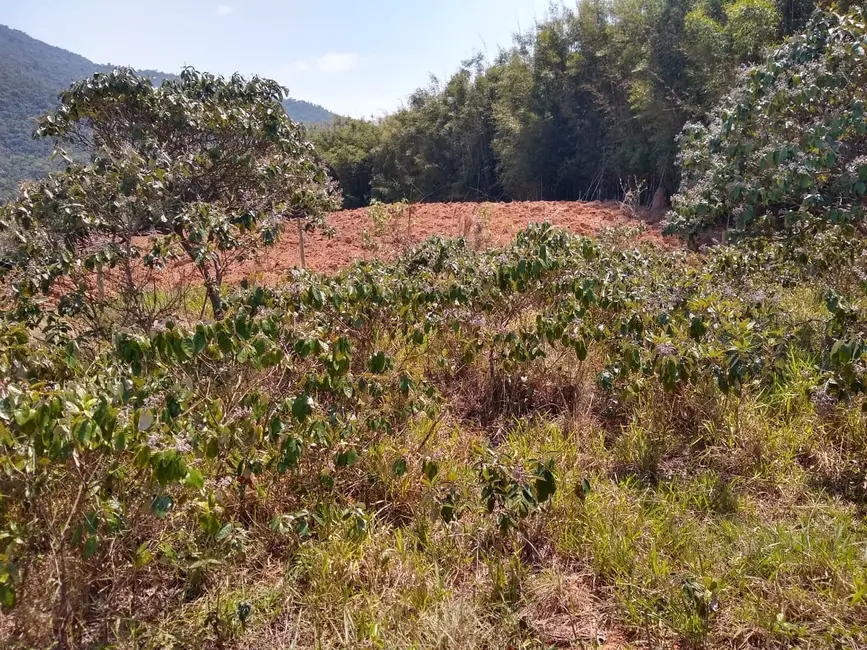 Foto 4 de Chácara à venda, 25000m2 em Mandú, Pindamonhangaba - SP