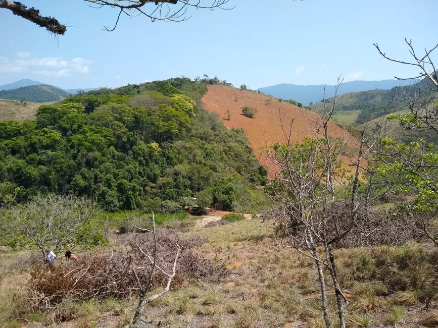 Foto 6 de Chácara à venda, 25000m2 em Mandú, Pindamonhangaba - SP