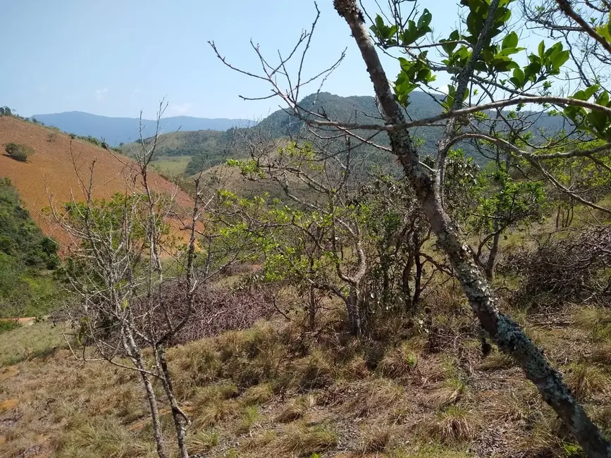 Foto 1 de Chácara à venda, 25000m2 em Mandú, Pindamonhangaba - SP