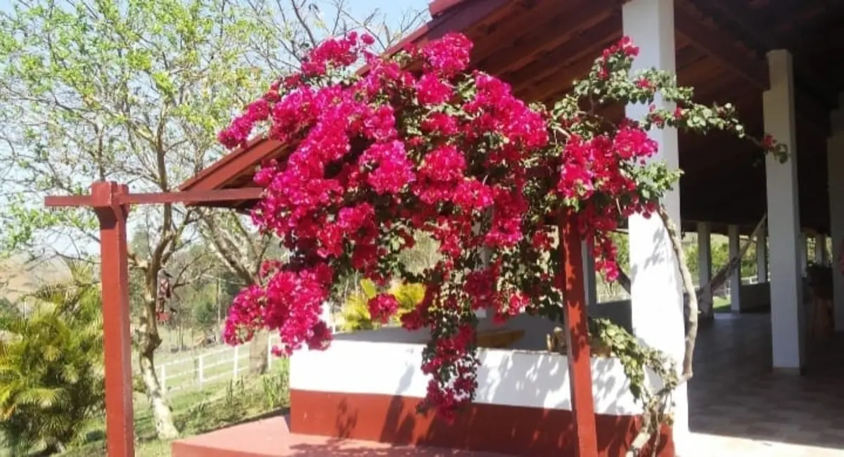 Chácara com 4 quartos à venda, 273m2 em Sao Luiz Do Paraitinga - SP - imagem 3 Foto 3 de Chácara com 4 quartos à venda, 273m2 em Sao Luiz Do Paraitinga - SP