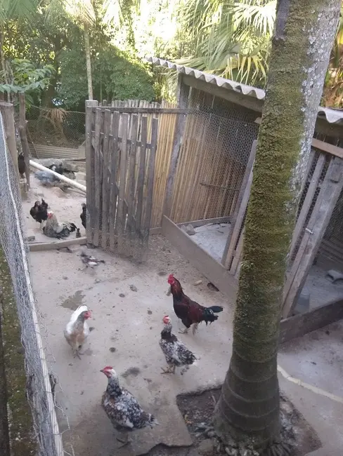 Foto 1 de Sítio / Rancho com 4 quartos à venda, 55000m2 em Bom Sucesso, Pindamonhangaba - SP
