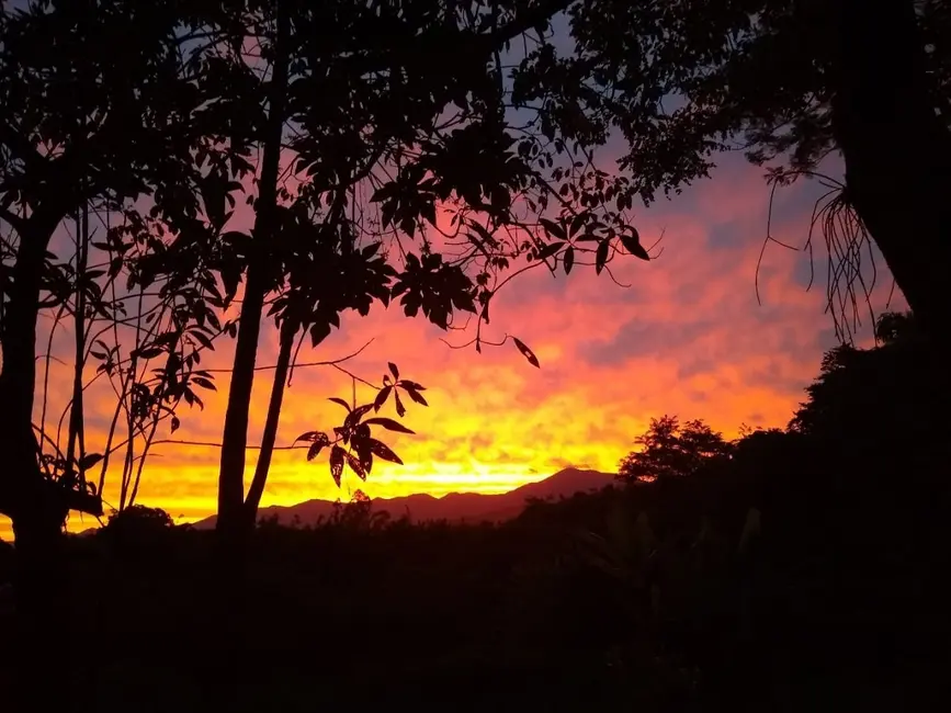 Sítio / Rancho com 4 quartos à venda, 55000m2 em Bom Sucesso, Pindamonhangaba - SP - imagem 6 Foto 6 de Sítio / Rancho com 4 quartos à venda, 55000m2 em Bom Sucesso, Pindamonhangaba - SP