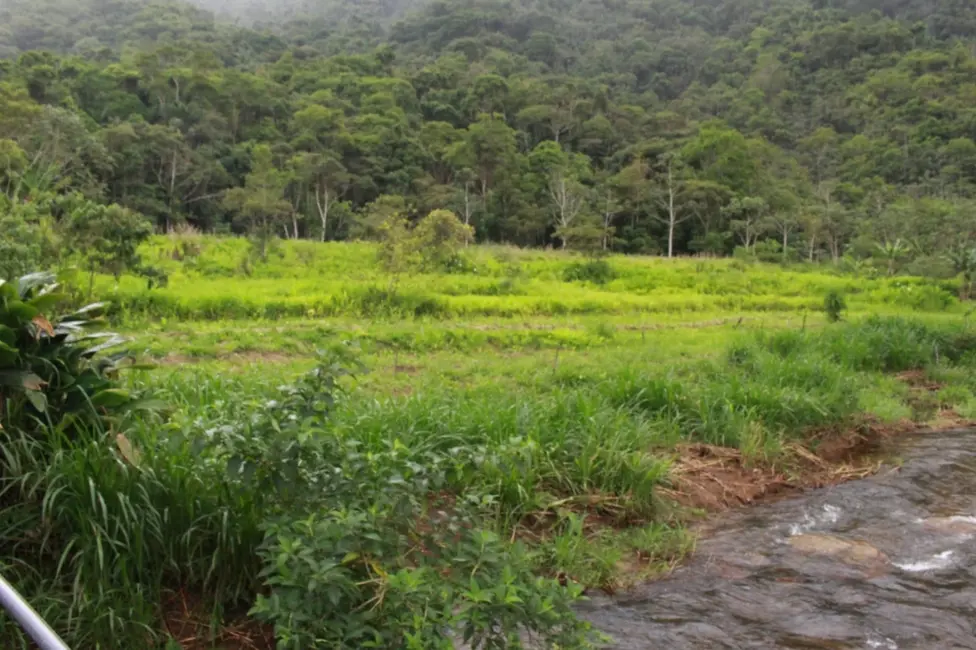 Foto 5 de Chácara com 4 quartos à venda, 300m2 em Ribeirão Grande, Pindamonhangaba - SP