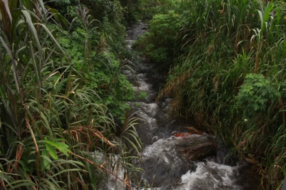 Foto 7 de Chácara com 4 quartos à venda, 300m2 em Ribeirão Grande, Pindamonhangaba - SP