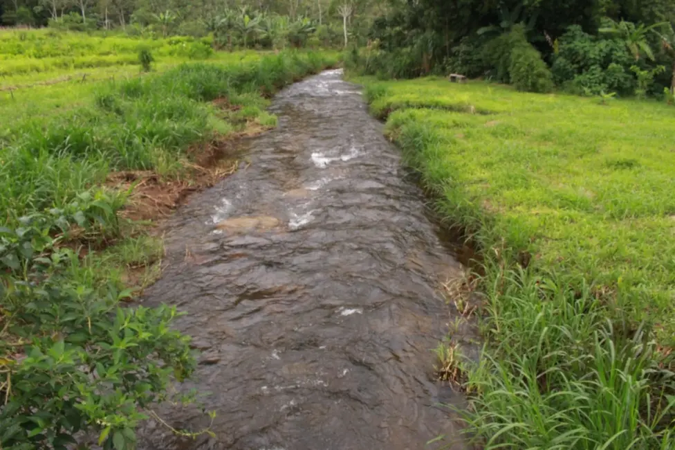 Foto 6 de Chácara com 4 quartos à venda, 300m2 em Ribeirão Grande, Pindamonhangaba - SP