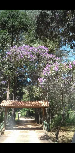 Foto 3 de Sítio / Rancho com 4 quartos à venda, 350000m2 em Cunha - SP