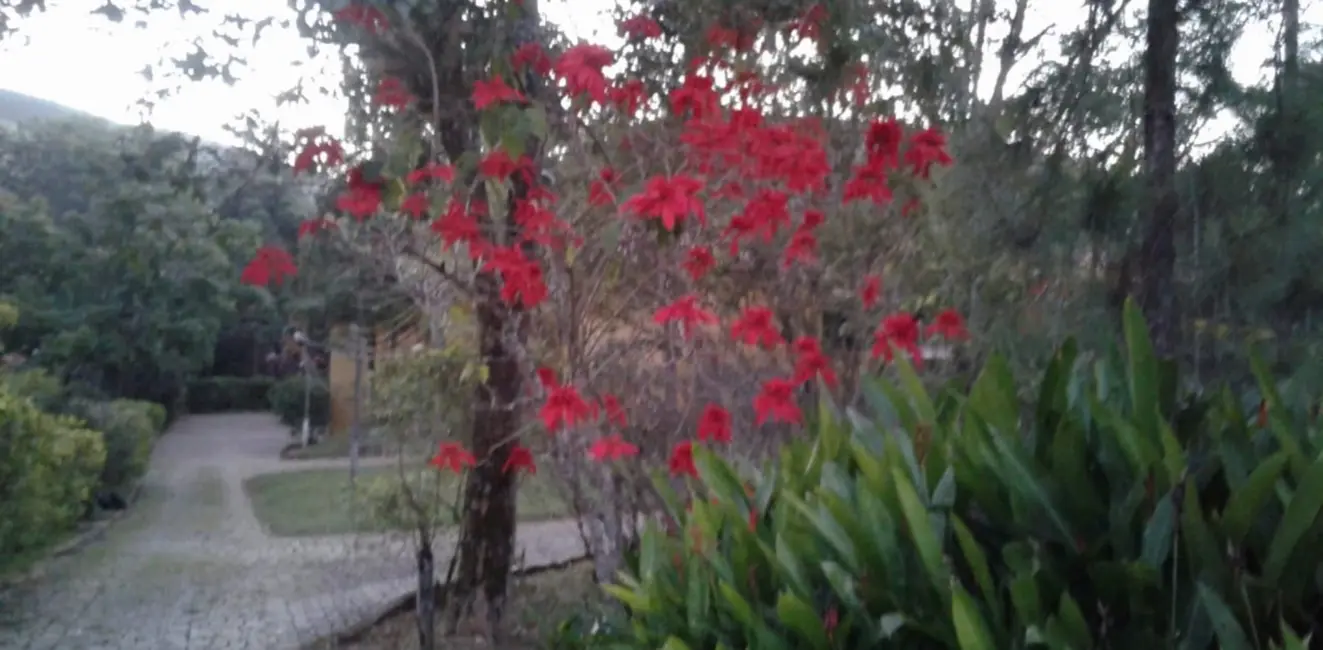 Foto 7 de Sítio / Rancho com 4 quartos à venda, 350000m2 em Cunha - SP