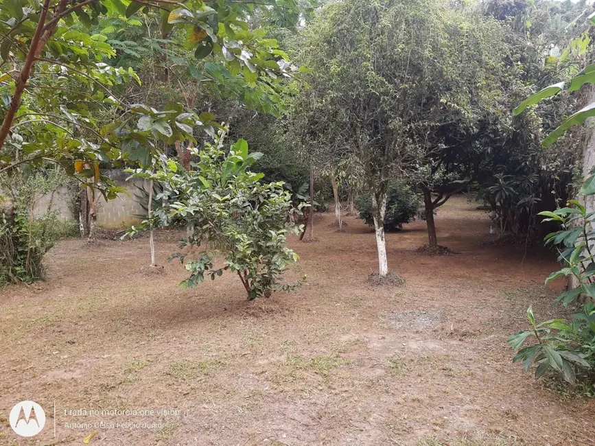 Foto 8 de Chácara com 1 quarto à venda, 4000m2 em Guaratingueta - SP