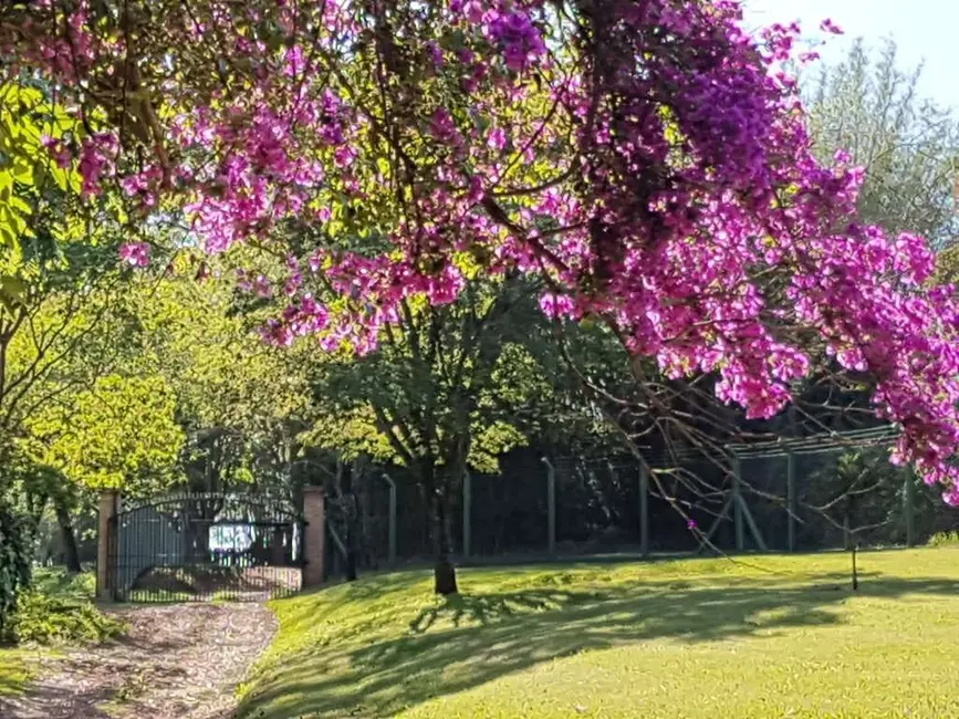 Foto 4 de Sítio / Rancho à venda, 1500m2 em Santa Cruz Da Conceicao - SP