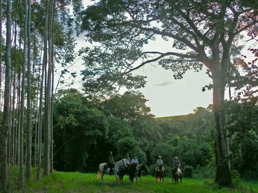 Foto 3 de Sítio / Rancho à venda, 1500m2 em Santa Cruz Da Conceicao - SP