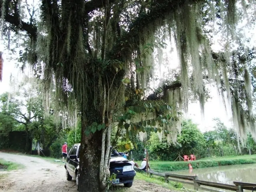 Foto 1 de Sítio / Rancho à venda, 55694m2 em Bom Sucesso, Pindamonhangaba - SP