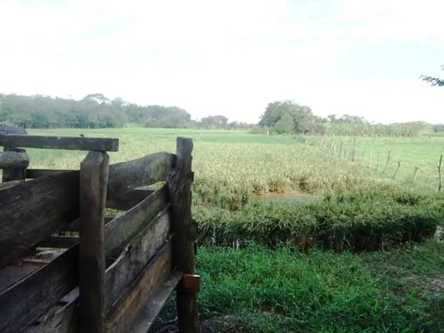 Foto 6 de Sítio / Rancho à venda, 55694m2 em Bom Sucesso, Pindamonhangaba - SP