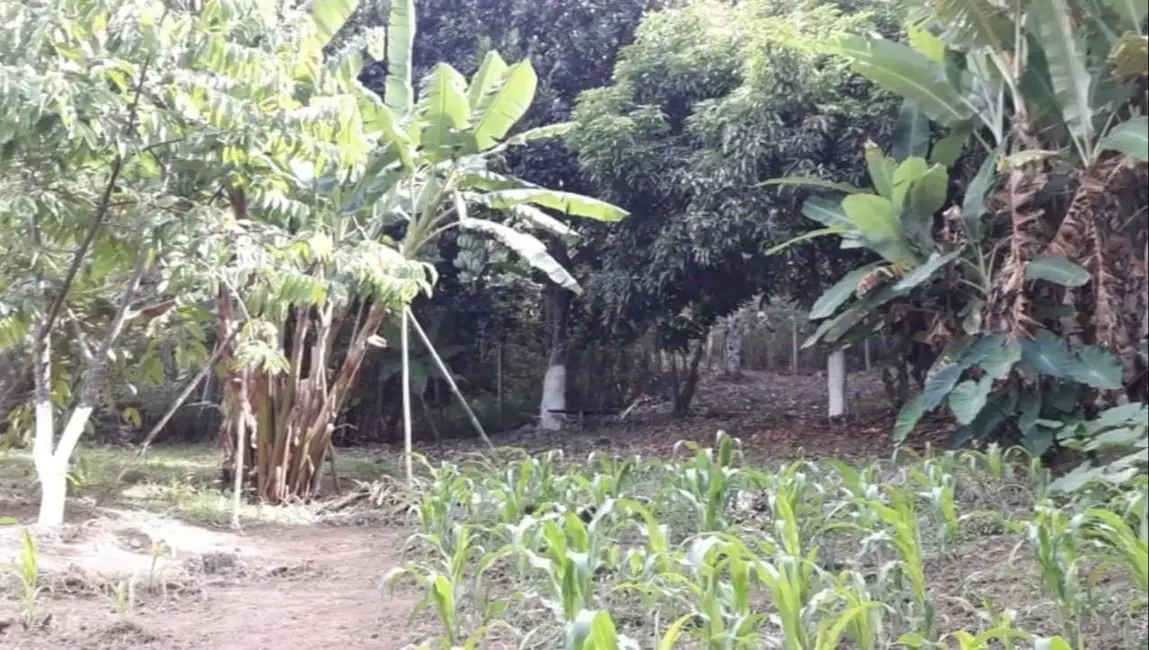 Foto 3 de Sítio / Rancho com 3 quartos à venda, 31000m2 em Redencao Da Serra - SP