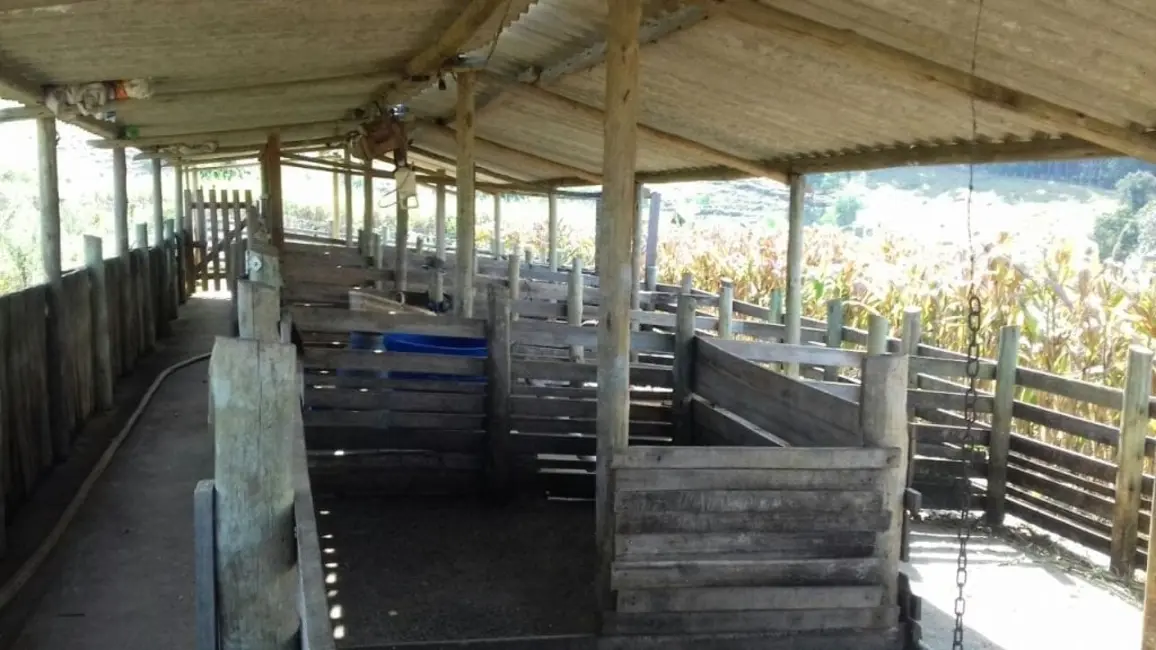Foto 5 de Sítio / Rancho com 3 quartos à venda, 200m2 em Guaratingueta - SP