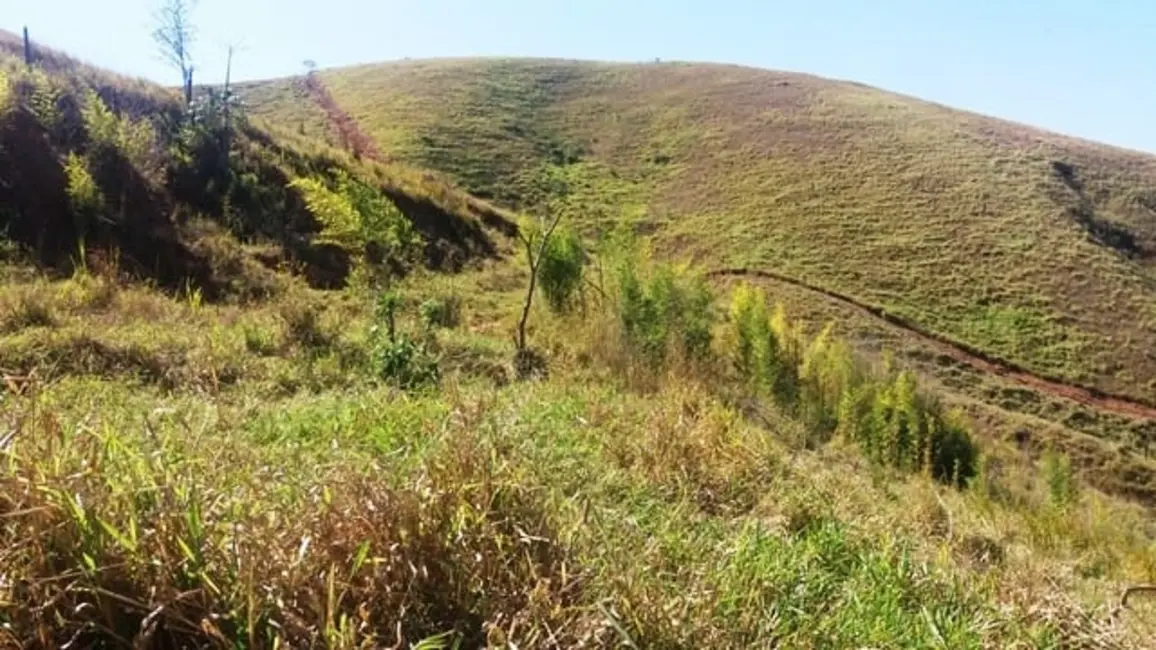 Foto 8 de Chácara à venda em Lavrinhas - SP