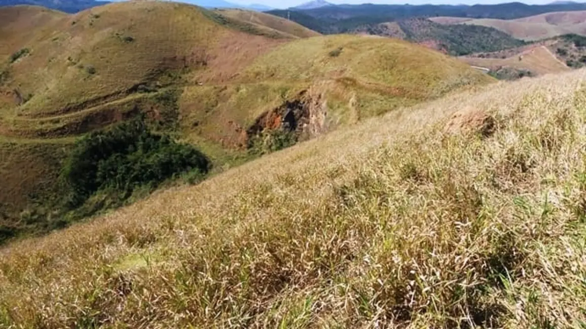 Foto 14 de Chácara à venda em Lavrinhas - SP