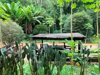 Imagem 5