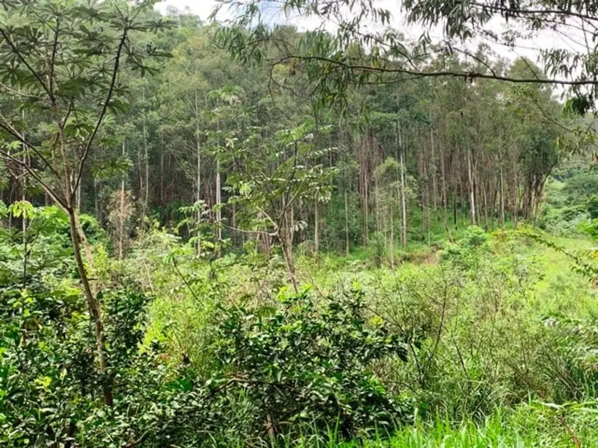 Chácara à venda, 994000m2 em Aparecida - SP - imagem 15 Foto 15 de Chácara à venda, 994000m2 em Aparecida - SP