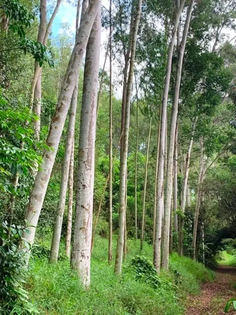 Foto 18 de Chácara à venda, 994000m2 em Aparecida - SP