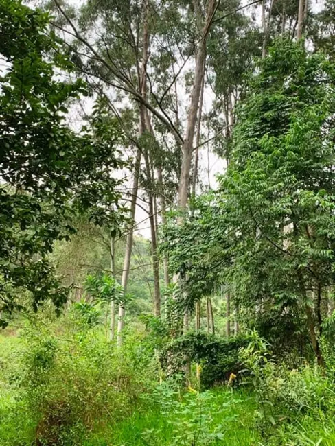 Foto 1 de Chácara à venda, 994000m2 em Aparecida - SP